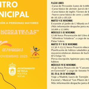 ACTIVIDADES NOVEMBRE Mayores Herratillas 2025