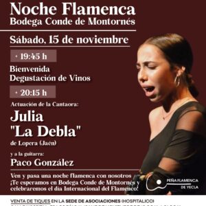 Noche Flamenca 15 nov