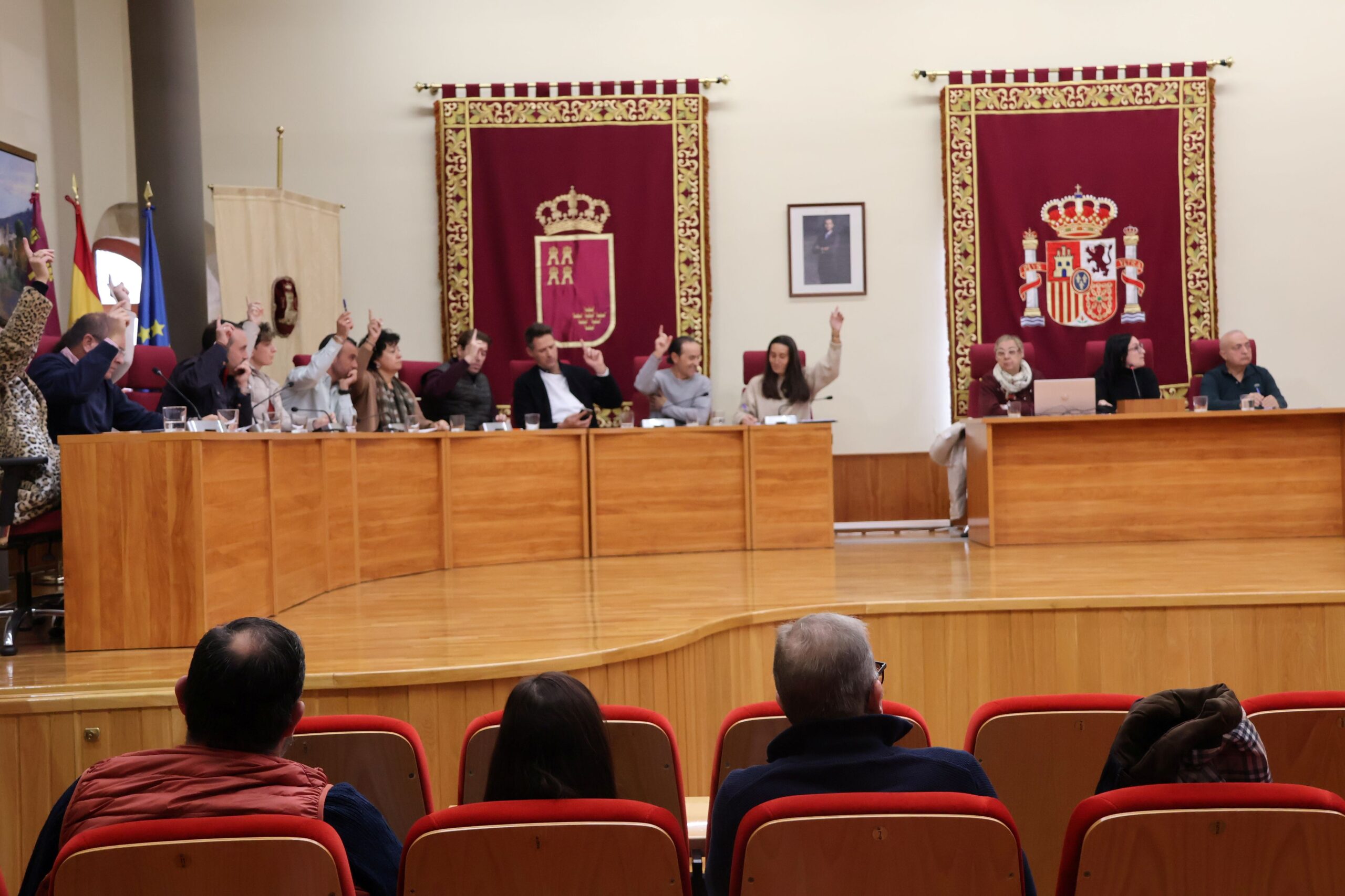 Pleno extraordinario noviembre