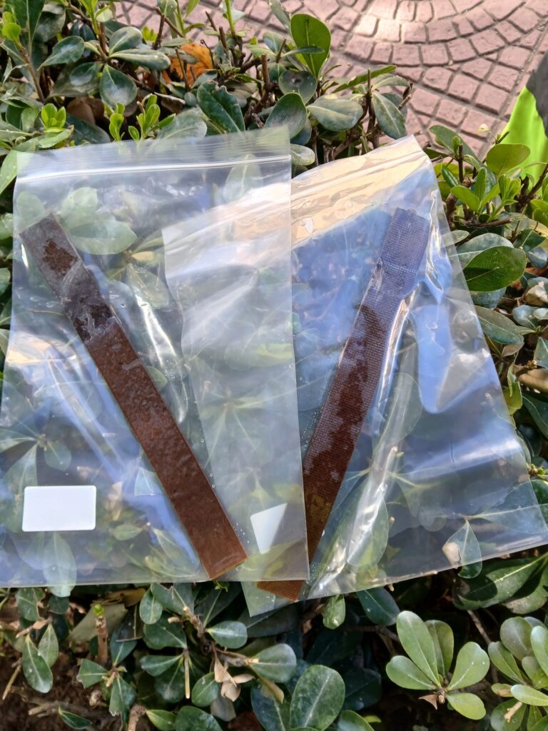 Programa de Control de Plagas Urbanas