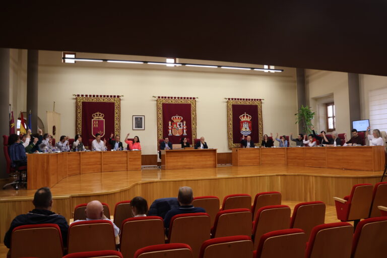 pleno ordinario mayo
