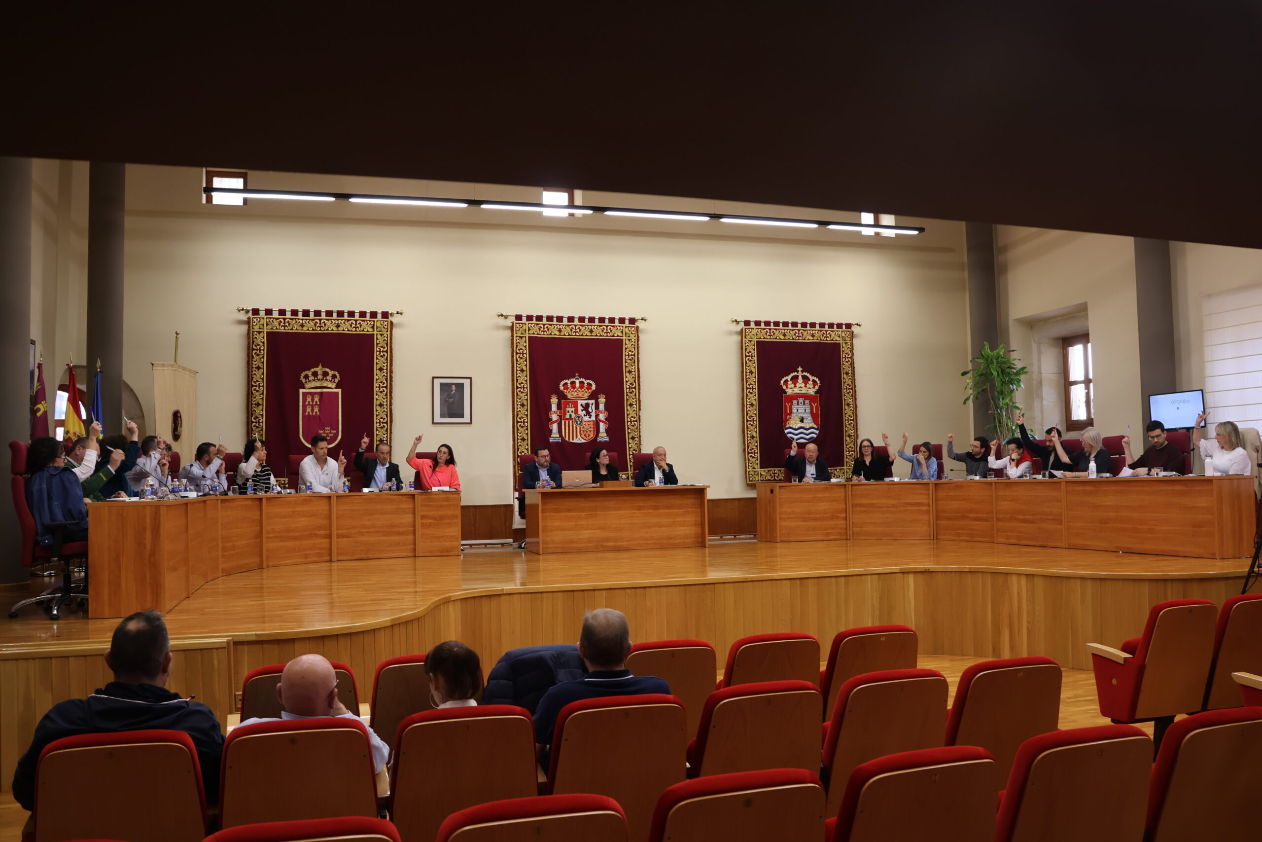 pleno ordinario mayo